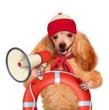 Dog with a megaphone Royalty Free Stock Photo