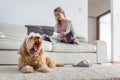 Dog in a modern , bright living room on carpet Royalty Free Stock Photo