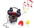 Dog with music earphones Royalty Free Stock Photo