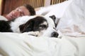 Dog naps on bed beside his owner