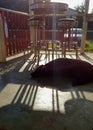 Dog naps on the porch Royalty Free Stock Photo