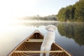 Dog Navigating From the Bow of a Canoe