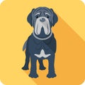 Dog Neapolitan Mastiff icon flat design