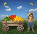Dog near cart with vegetables 2