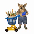 Dog near plastic trolley of food 2