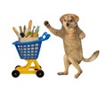 Dog near plastic trolley of food