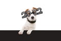 Dog new year with paws over black edge. wearing glasses with the inscription 2022 on white background