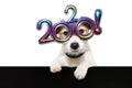 Dog new year with paws over black edge. wearing glasses with the text 2020, on a white background