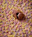 A dog nose amidst candy rings, a unique close-up with a whimsical touch