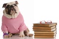 Dog obedience school Royalty Free Stock Photo