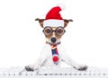 Dog office worker on christmas holidays Royalty Free Stock Photo