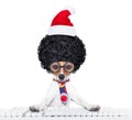 Dog office worker on christmas holidays Royalty Free Stock Photo