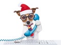 Dog office worker on christmas holidays Royalty Free Stock Photo