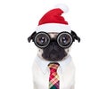 Dog office worker on christmas holidays Royalty Free Stock Photo