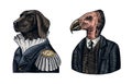 Dog officer and California condor gentleman. Great Dane. Fashion animal character. Military man in the old uniform. Hand Royalty Free Stock Photo