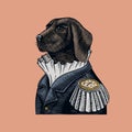 Dog officer or military man in the old uniform. Great Dane. Fashion animal character. Hand drawn vintage sketch. Vector Royalty Free Stock Photo