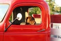 Dog in an old truck Royalty Free Stock Photo