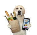 Dog orders food online Royalty Free Stock Photo