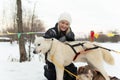 adult dog outdoor girl person season husky winter friendship pet animal young woman park snow