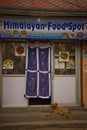 Dog outside Tibetan cafe, Boudhanath Temple, Kathmandu, Nepal Royalty Free Stock Photo