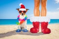 Dog and owner as santa claus on christmas at the beach Royalty Free Stock Photo