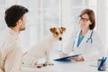 Dog owner comes with heart diseased animal to vet for checkup. Jack russell terrier sits at examination table in veterinary clinic Royalty Free Stock Photo