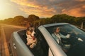 Dog and owner riding in convertible car at sunset. Happy dog travelling and enjoying life. Royalty Free Stock Photo