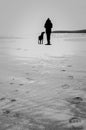 Dog and Owner SIlhouettes On The Beach