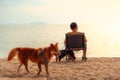 Dog owner sitting on a chair on the beach and see sunset Royalty Free Stock Photo