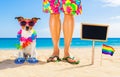 Gay pride dog and owner on   summer holidays Royalty Free Stock Photo