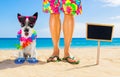 Dog and owner  summer holidays Royalty Free Stock Photo