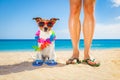 Dog and owner summer holidays Royalty Free Stock Photo