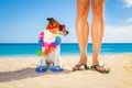 Dog and owner summer holidays Royalty Free Stock Photo