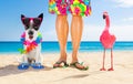 Dog and owner  summer holidays Royalty Free Stock Photo