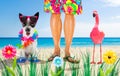 Dog and owner  summer holidays Royalty Free Stock Photo