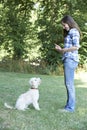 Dog Owner Teaching Pet Lurcher To Sit Royalty Free Stock Photo