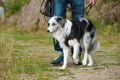 Man with a border collie dog