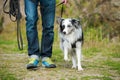 Man with a border collie dog