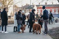 Dog owners chatting in Haggerston Park in Hackney, East London, UK