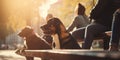 Dog owners enjoying a relaxing day with their furry friends in the city park