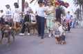 Dog owners taking their pets for a walk