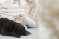 Dog participating in therapy