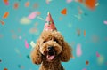 a dog in a party hat on a blue background,animated gifs