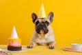 Dog party hat with cupcake. Generate Ai Royalty Free Stock Photo