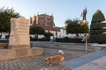 A dog passes next to a monolith that marks the the room of the house where Hernan Cortes was born