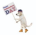 Dog in patriotic hat holds sign Royalty Free Stock Photo