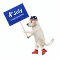 Dog in patriotic hat holds sign 2 Royalty Free Stock Photo