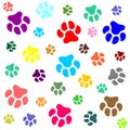 Dog paw.Abstract multicolored photo with dog paws. Pattern with traces. Royalty Free Stock Photo