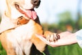 Dog paw in human hand, outdoors shot.