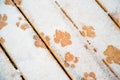 Dog paw prints in ice, snow on wooden decking